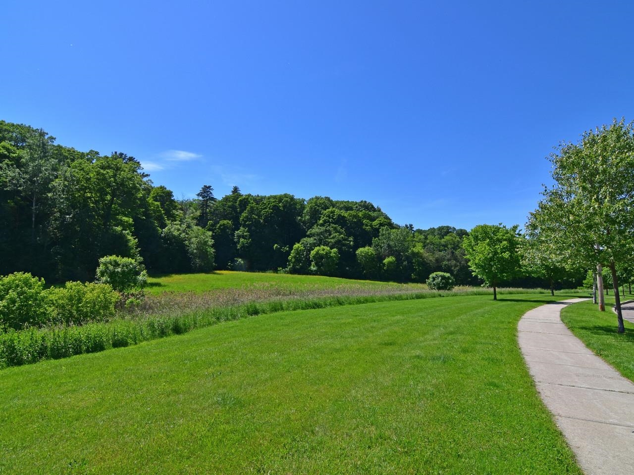 Open green space to enjoy