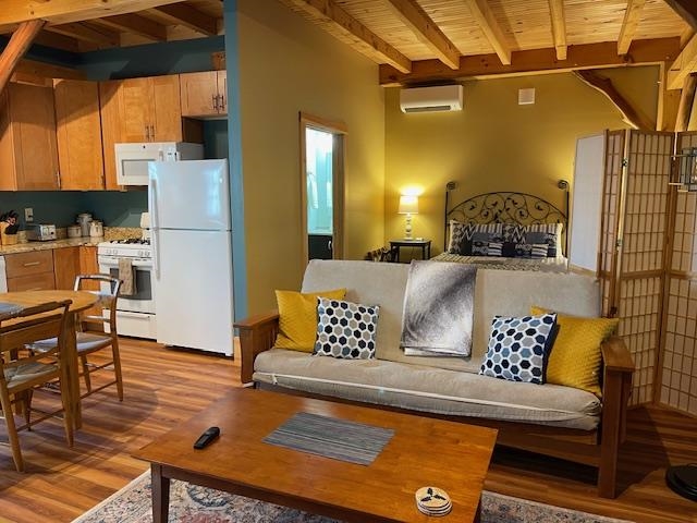 ADU Living Area