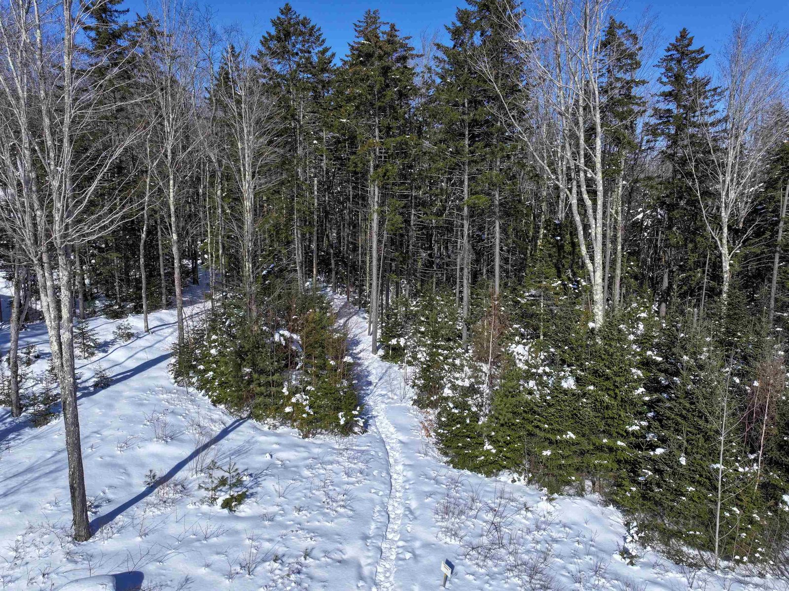Trails