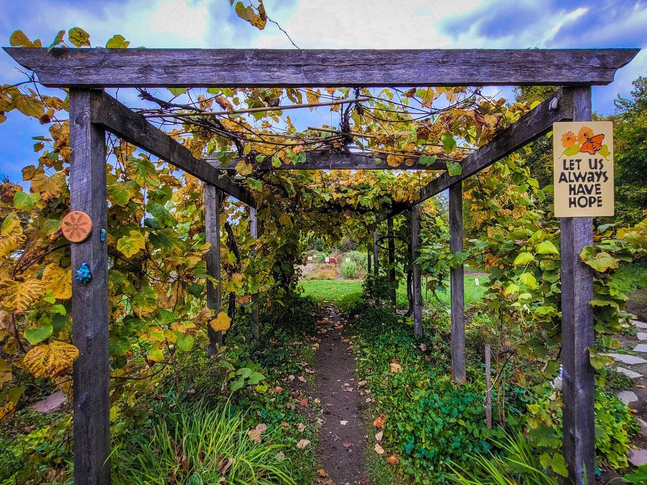 Nearby Intervale Gardens