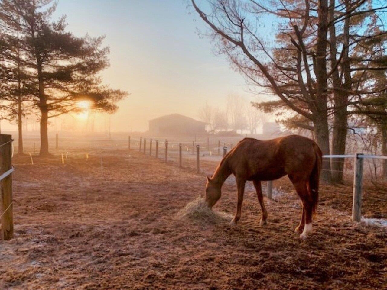 2475 Town Line Road Bridport