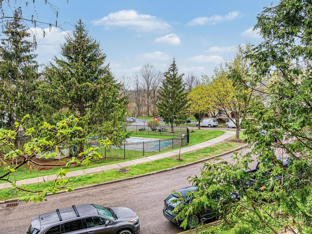 Park view & road scene