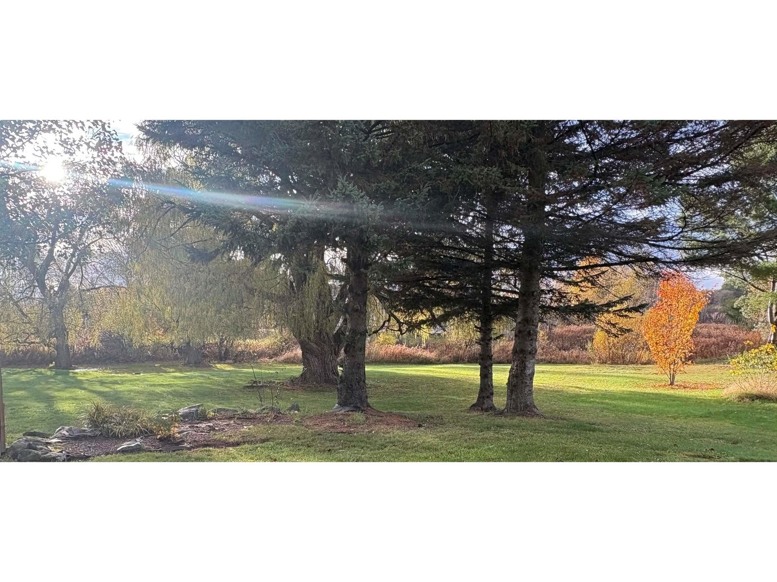 2497 Mountain View Road