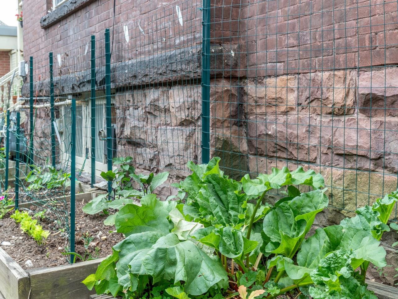 Space to garden