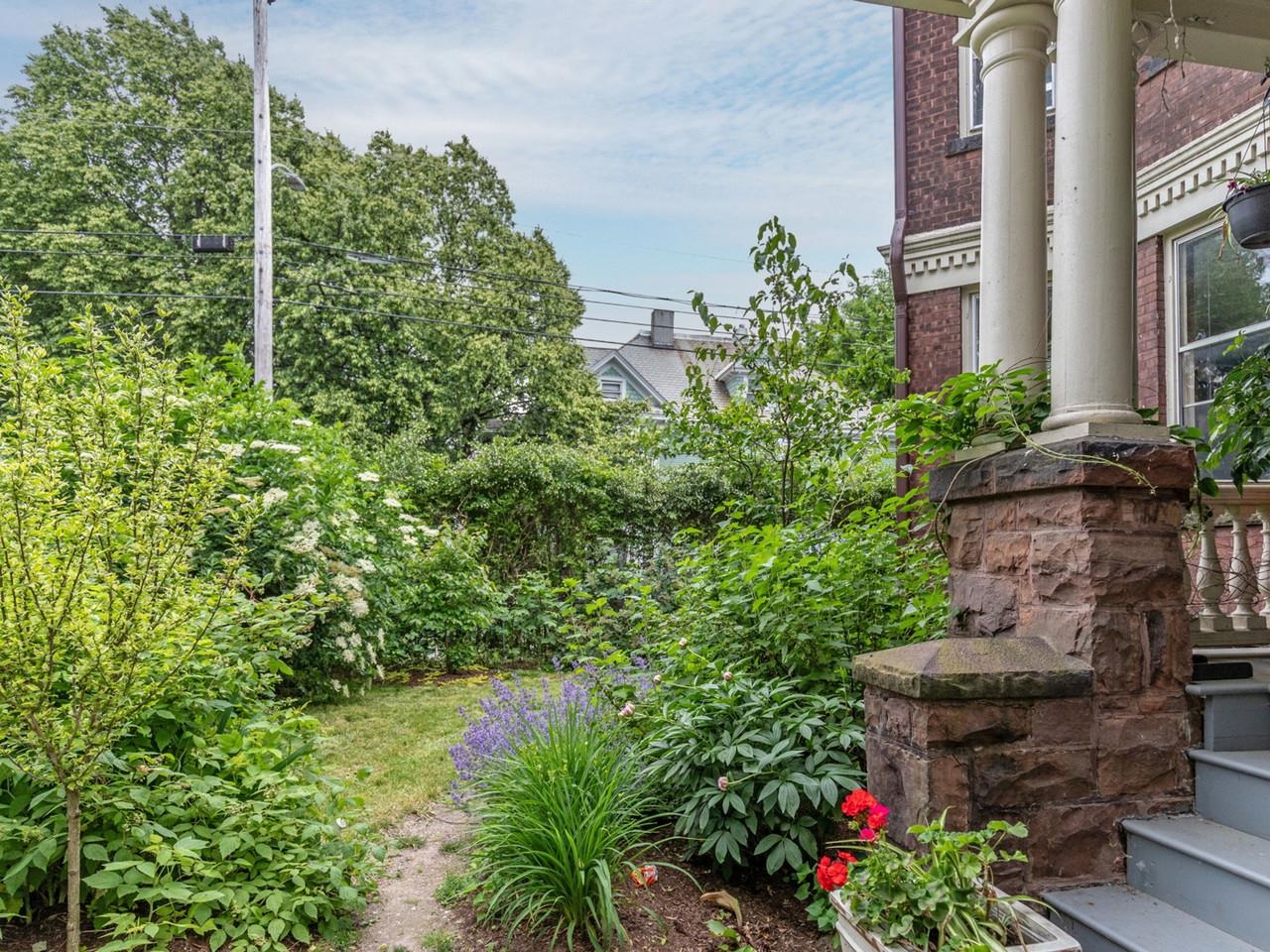 An oasis in the city
