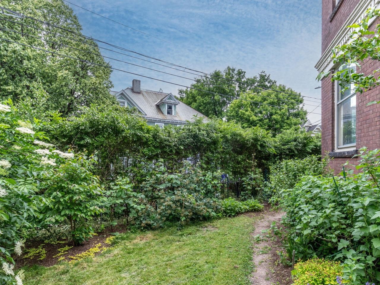 Landscaped lot