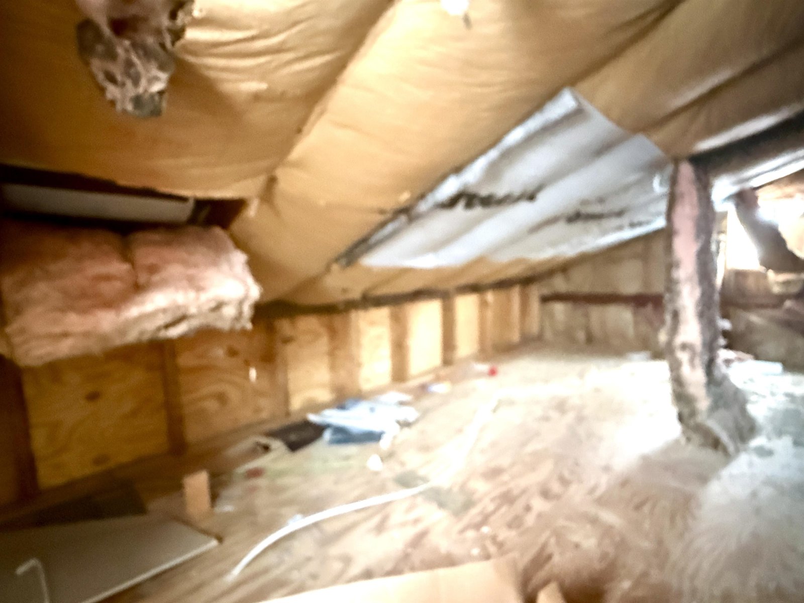 2nd FL Attic Storage