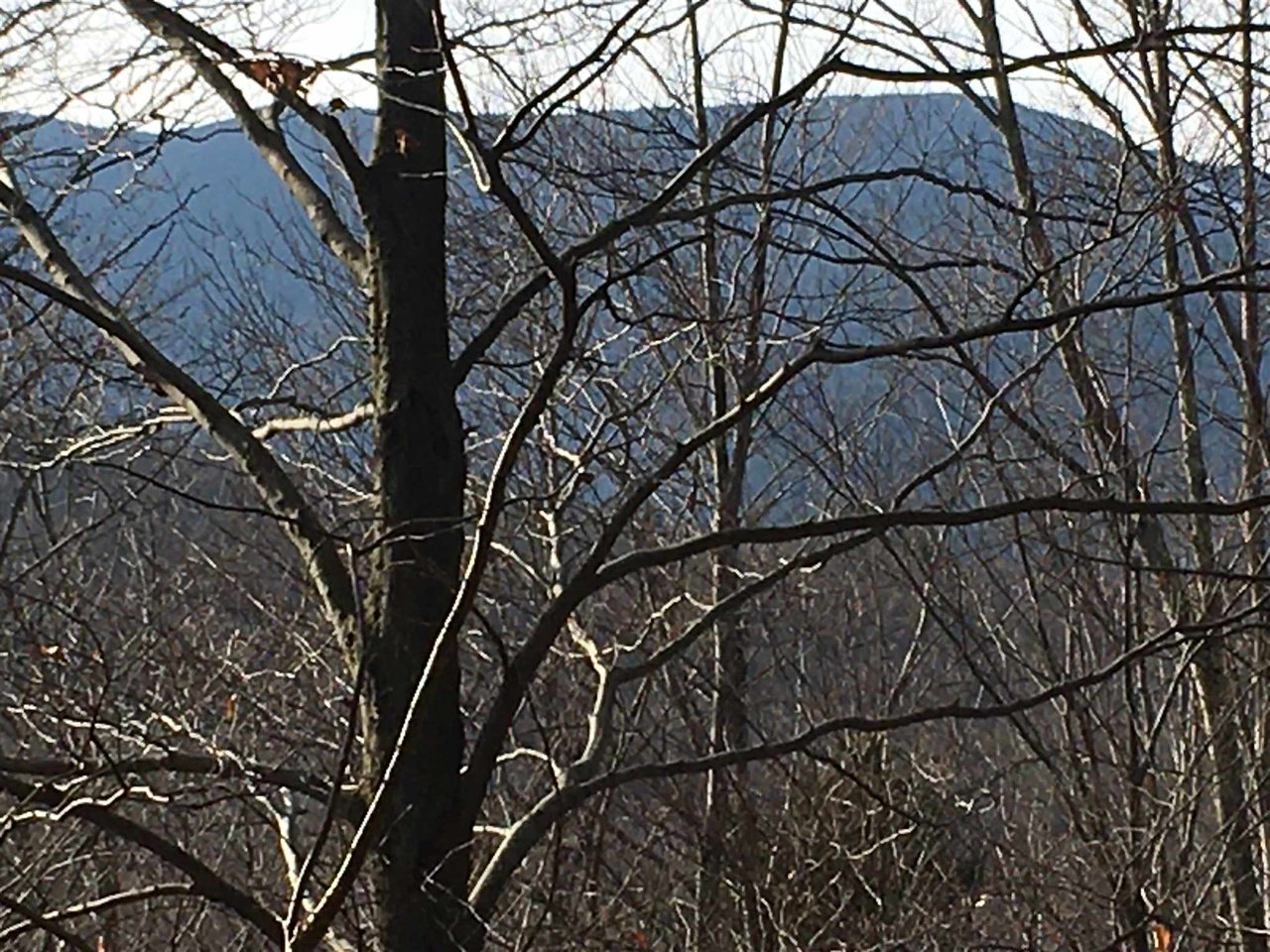 25 Maple Ridge Road