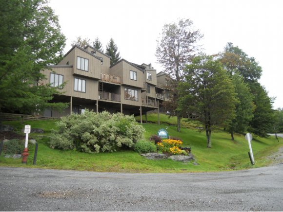25 North Lynx, Unit 25