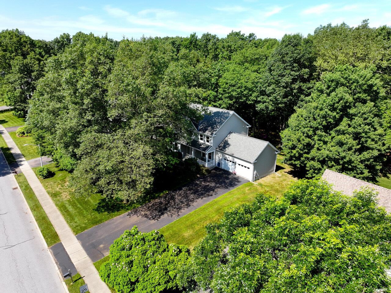 Mature Wooded Lot
