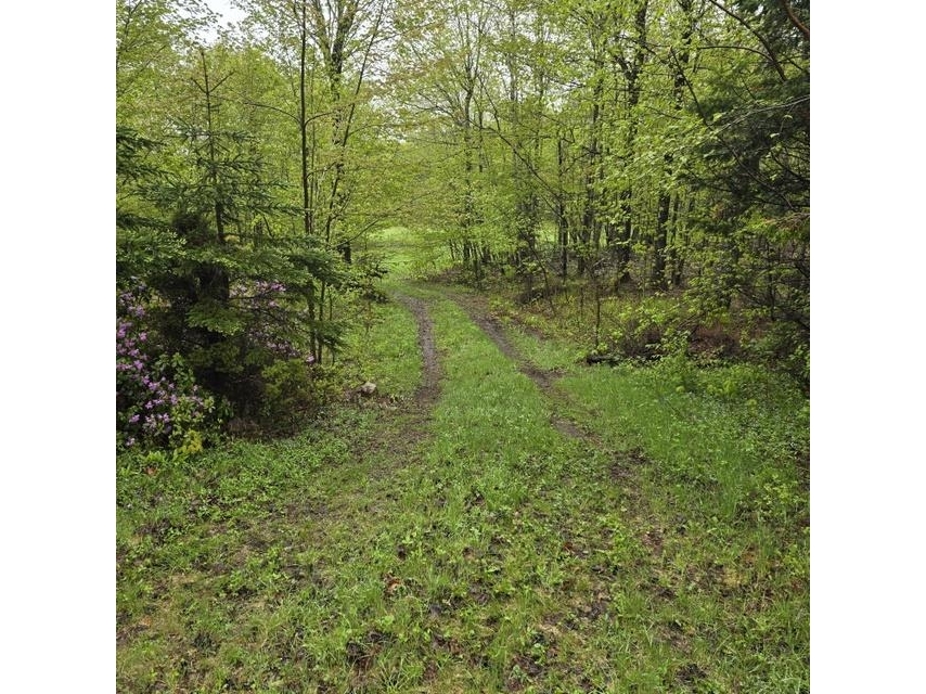 250 Kinney Hill Road