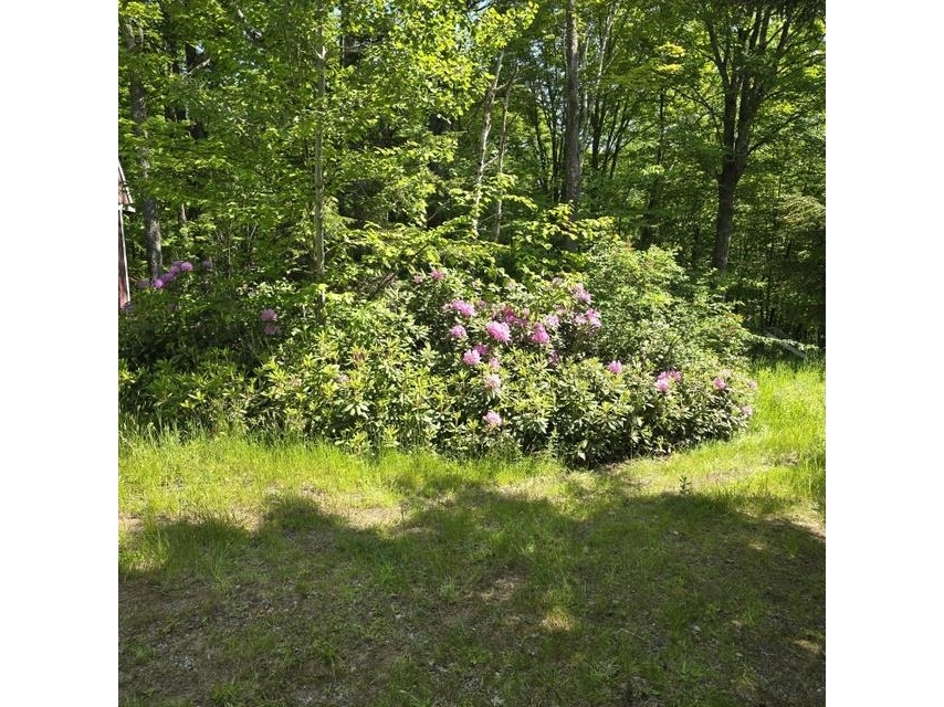 250 Kinney Hill Road