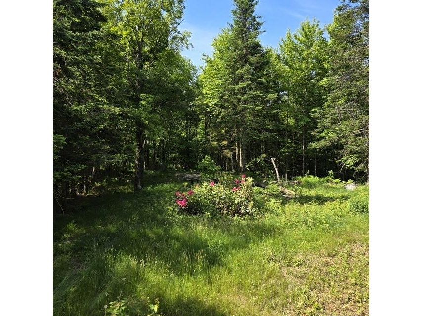 250 Kinney Hill Road