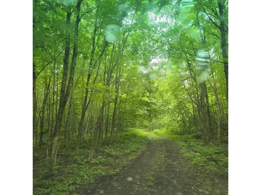 250 Kinney Hill Road