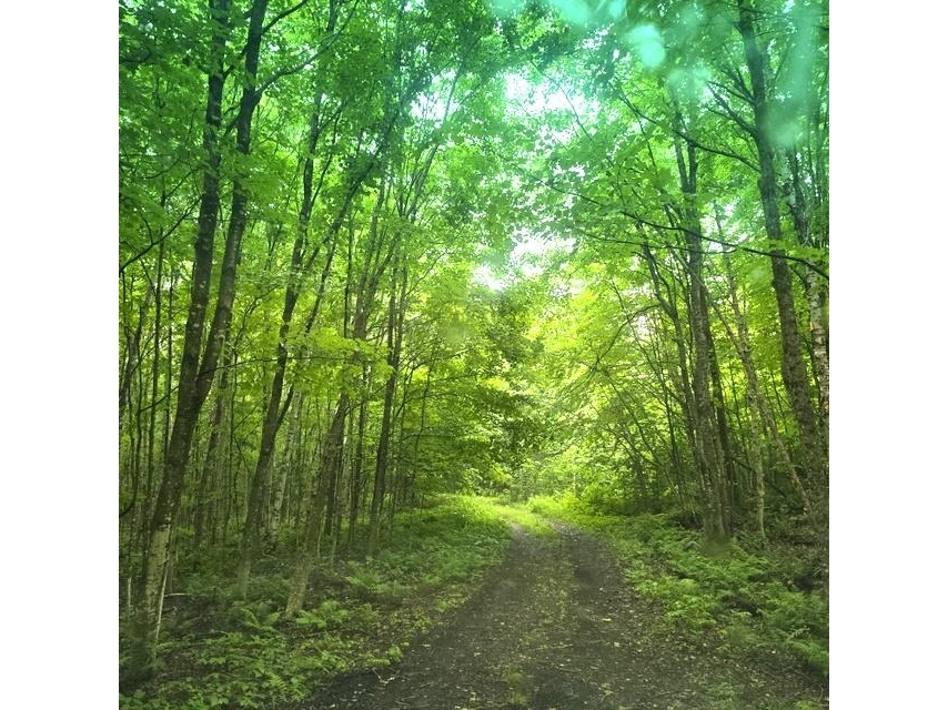 250 Kinney Hill Road