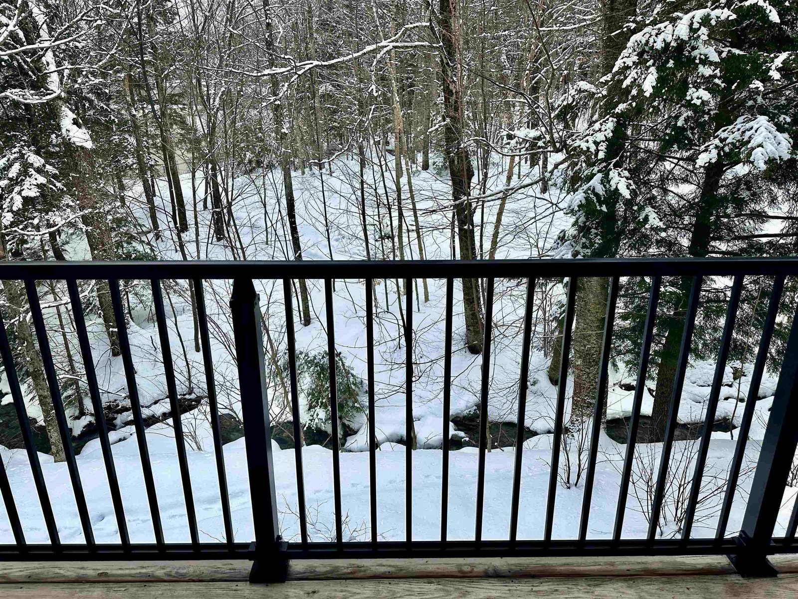 251 Mountainside Drive, Unit 83