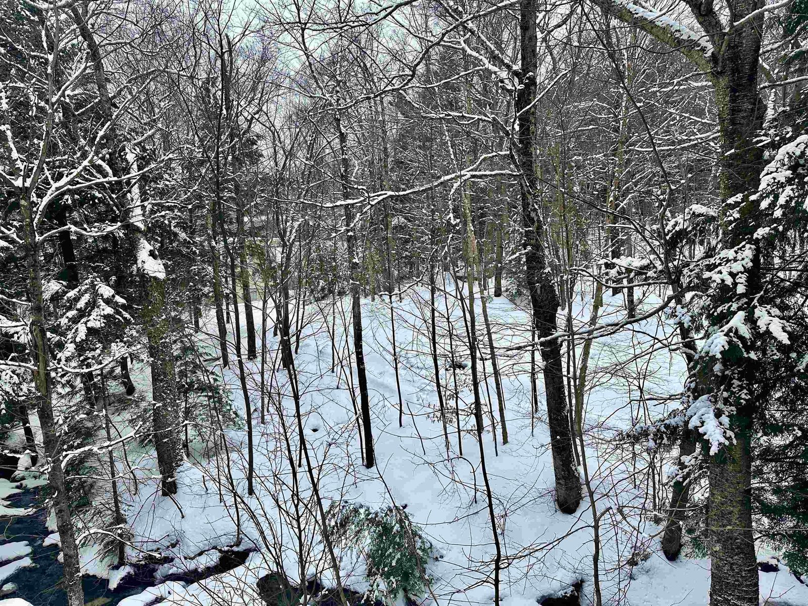 251 Mountainside Drive, Unit 83