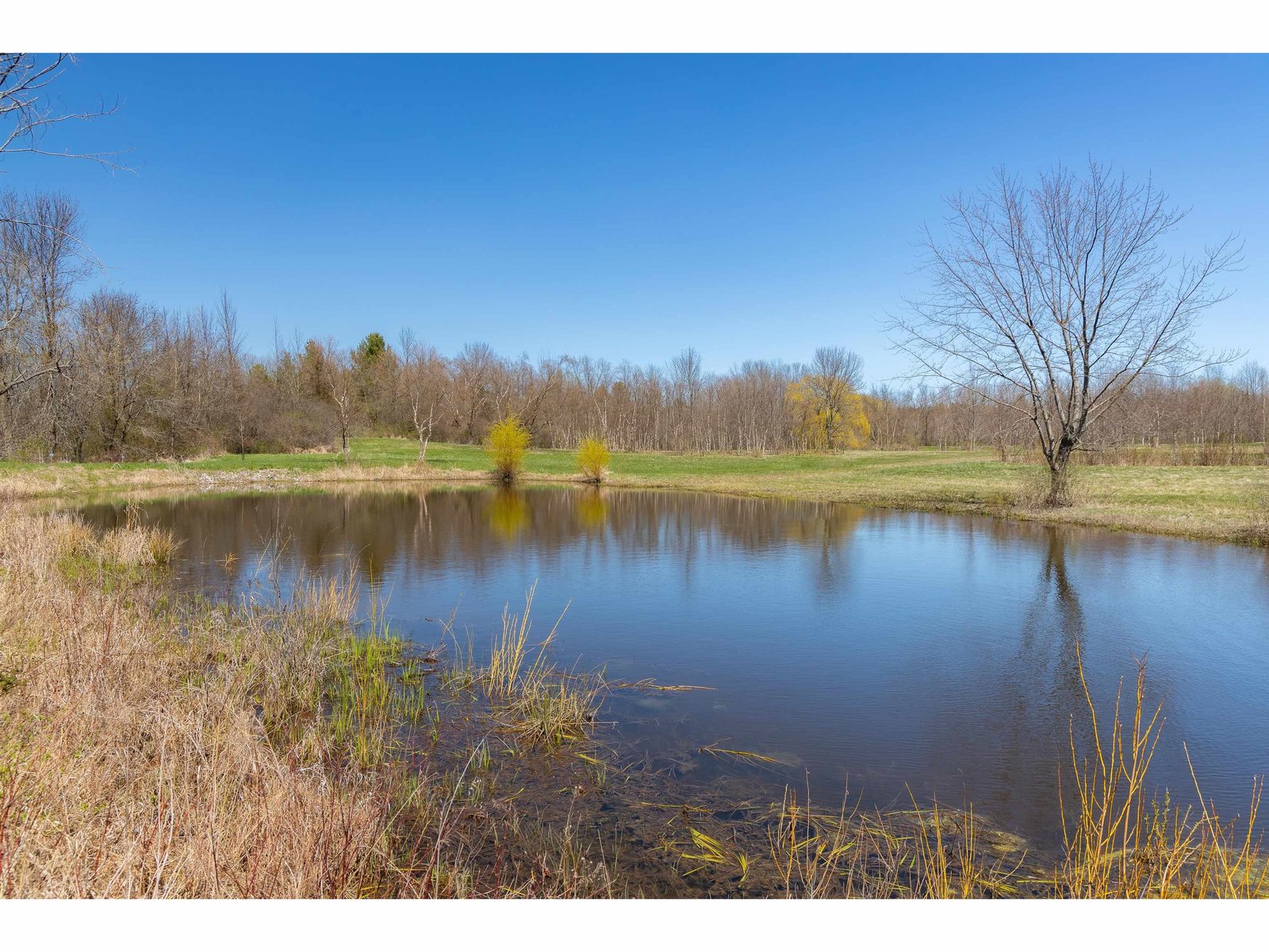 251 Tamarack Road