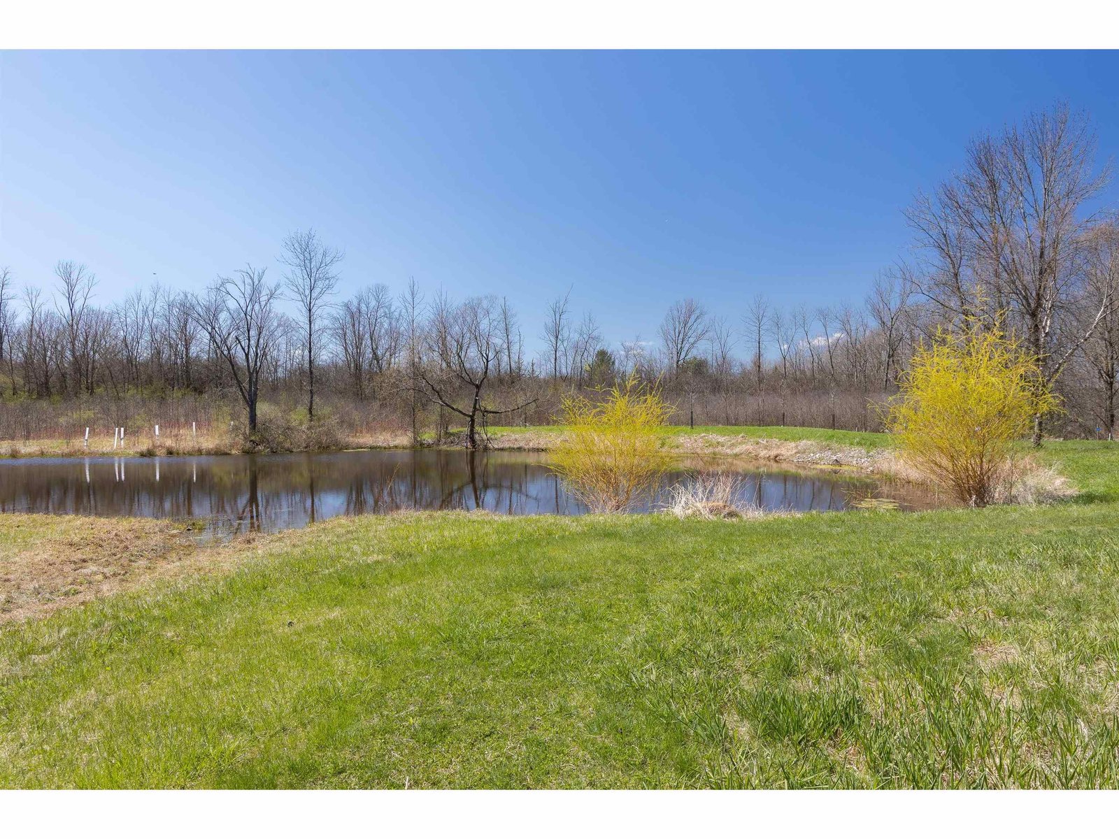 251 Tamarack Road
