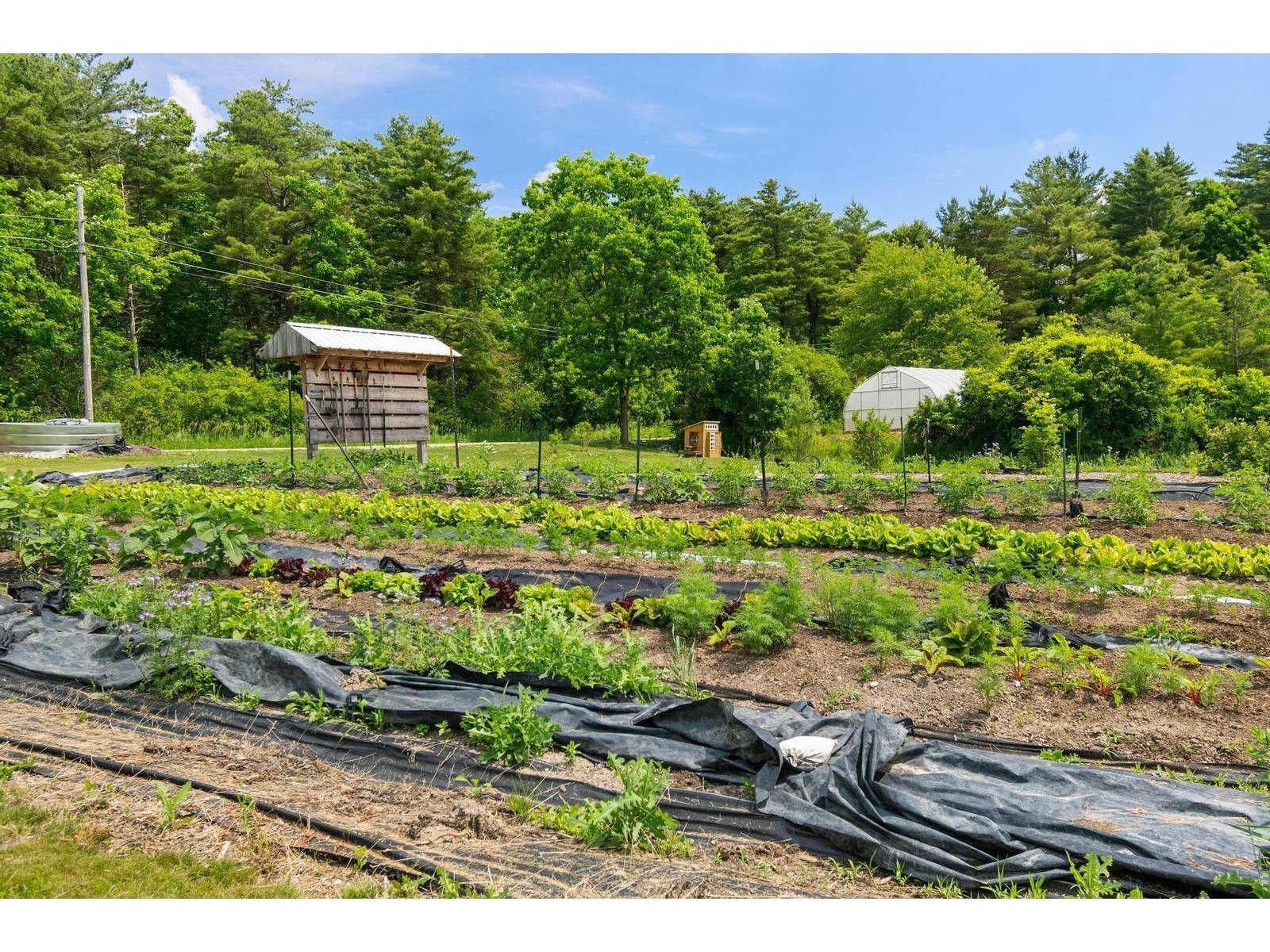251 Upper Old Town Trail