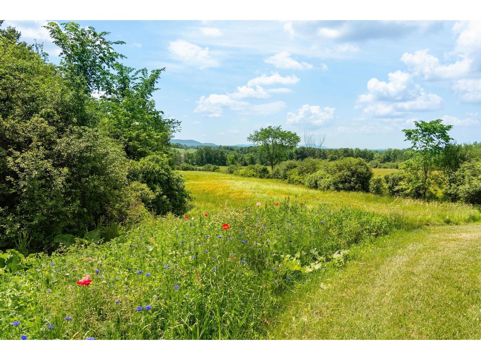 251 Upper Old Town Trail