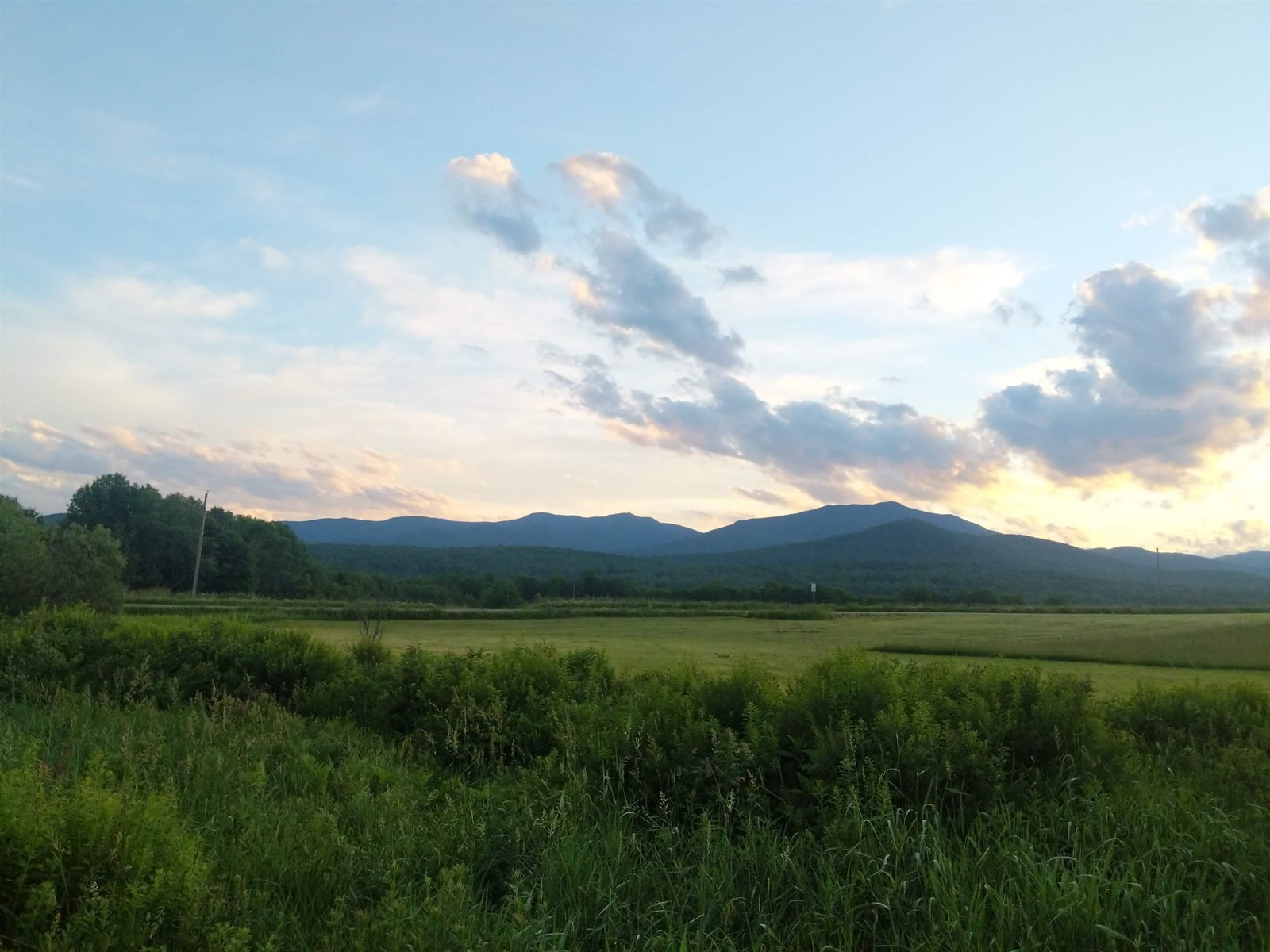 251 White Birch Road