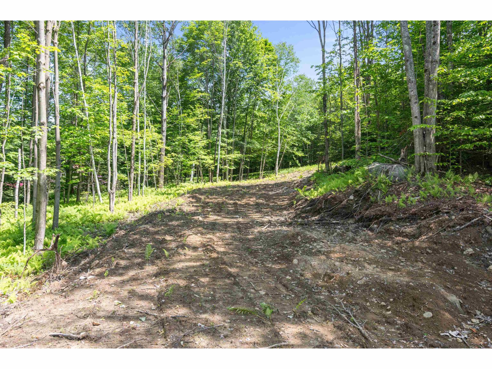 Looking back at driveway