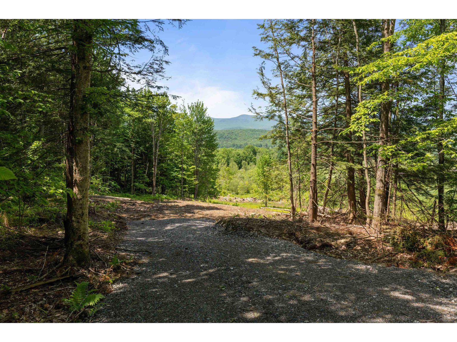 251 White Birch Road