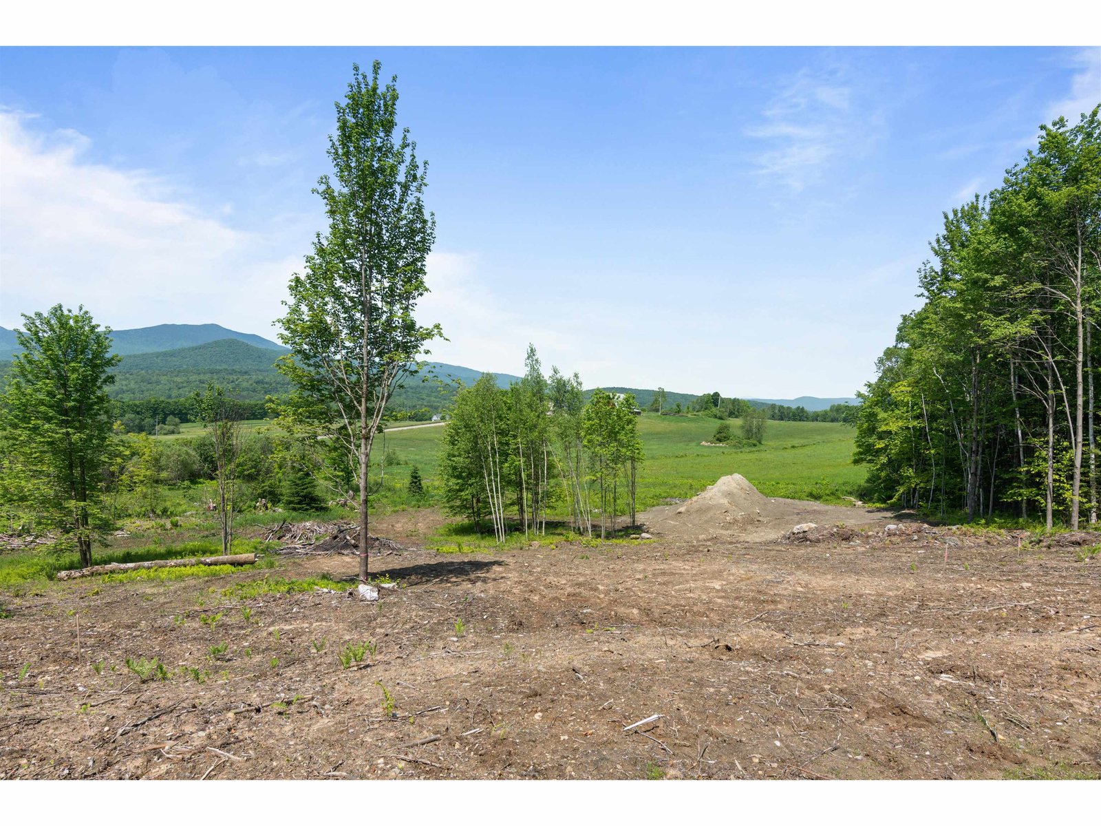 251 White Birch Road