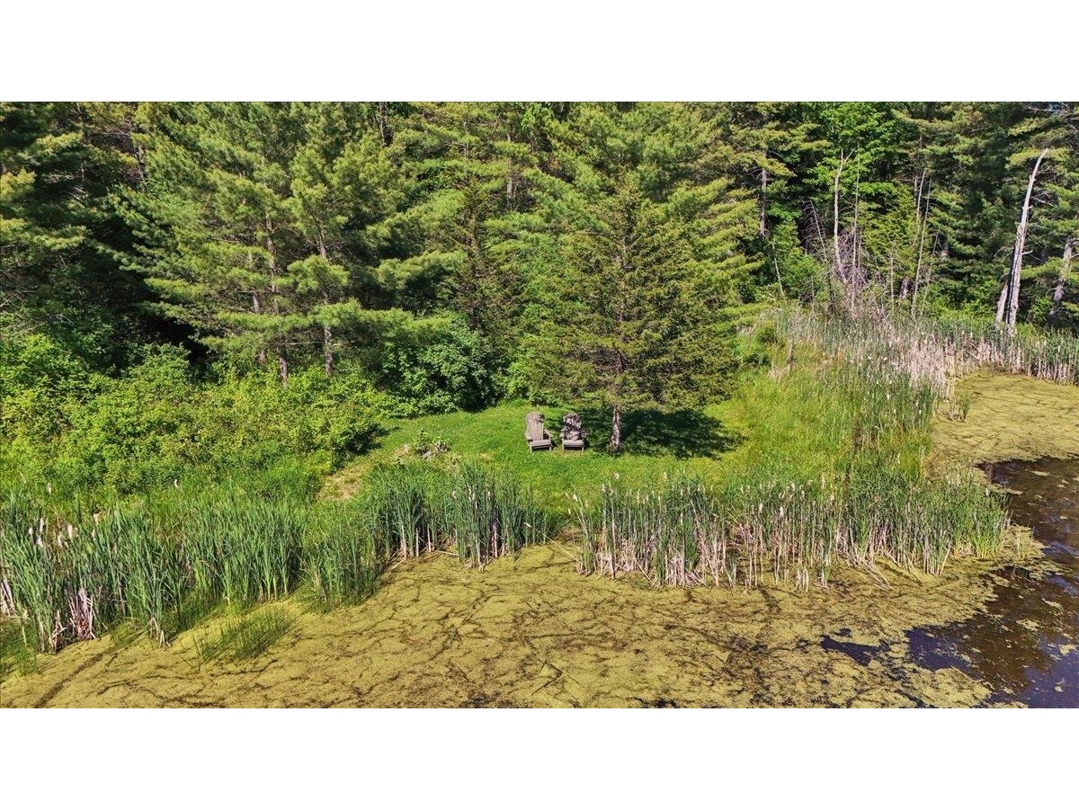 Beaver Pond