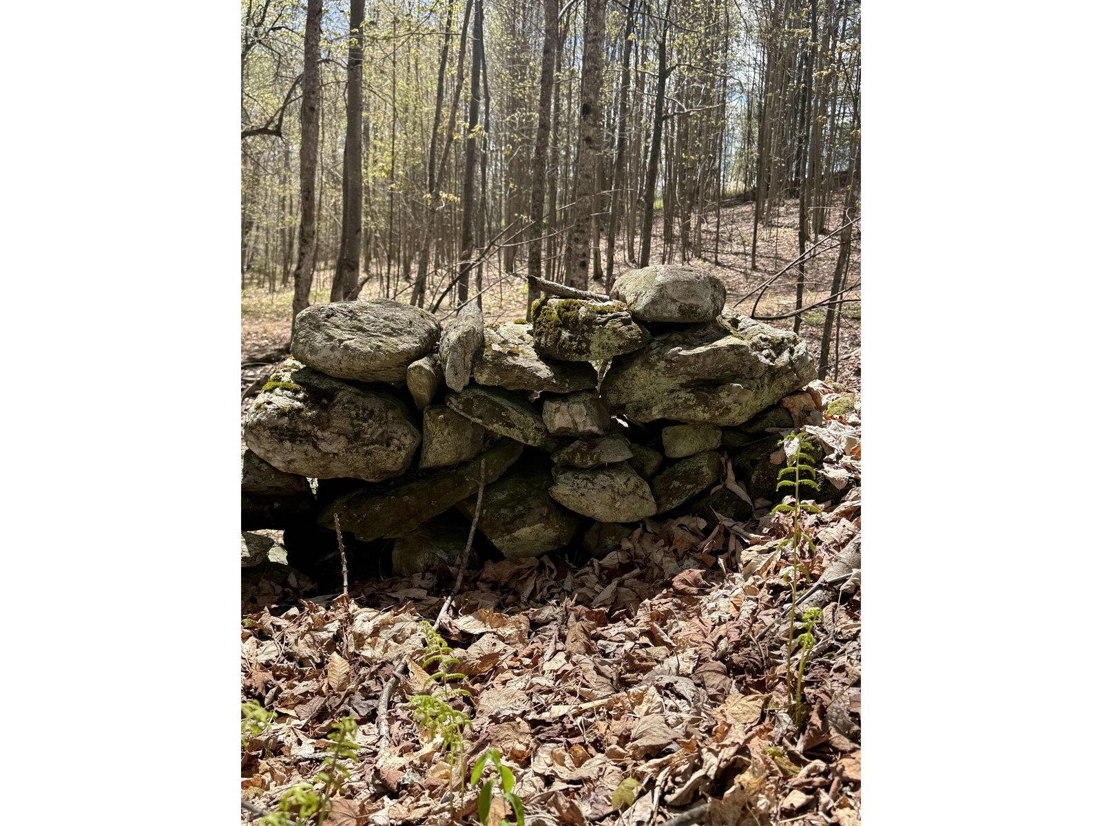 2527 Bent Hill Road