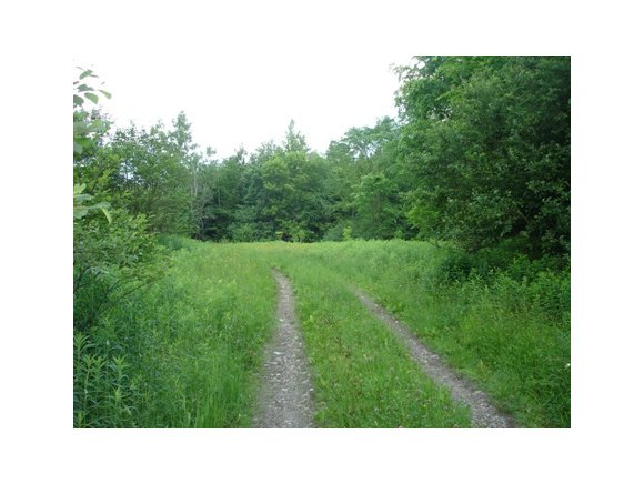 254 Barber Farm Rd