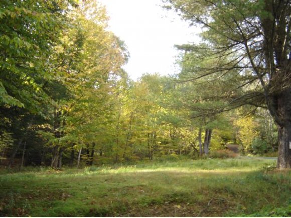 255 Morse Road