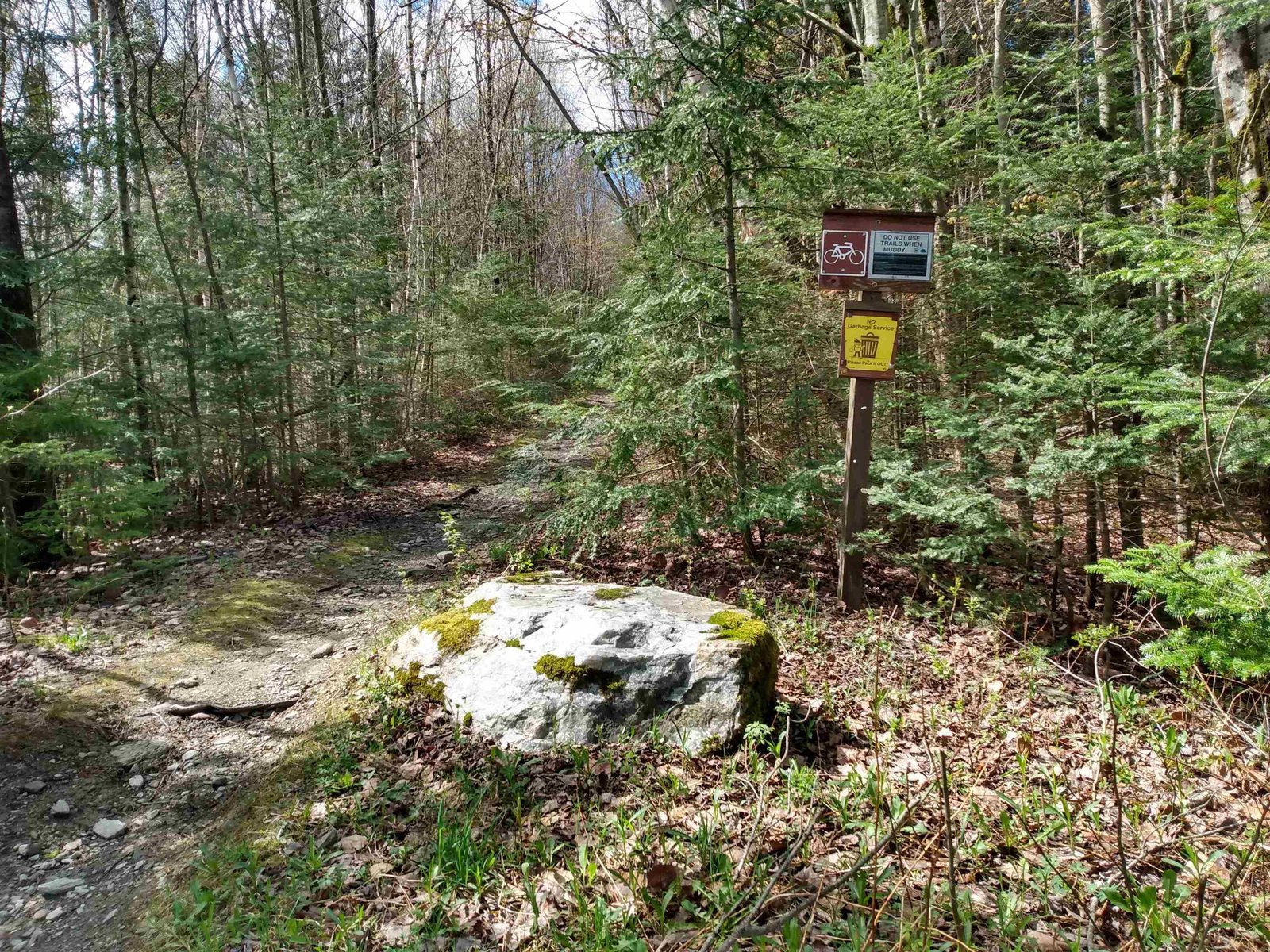 258 Hillside Road