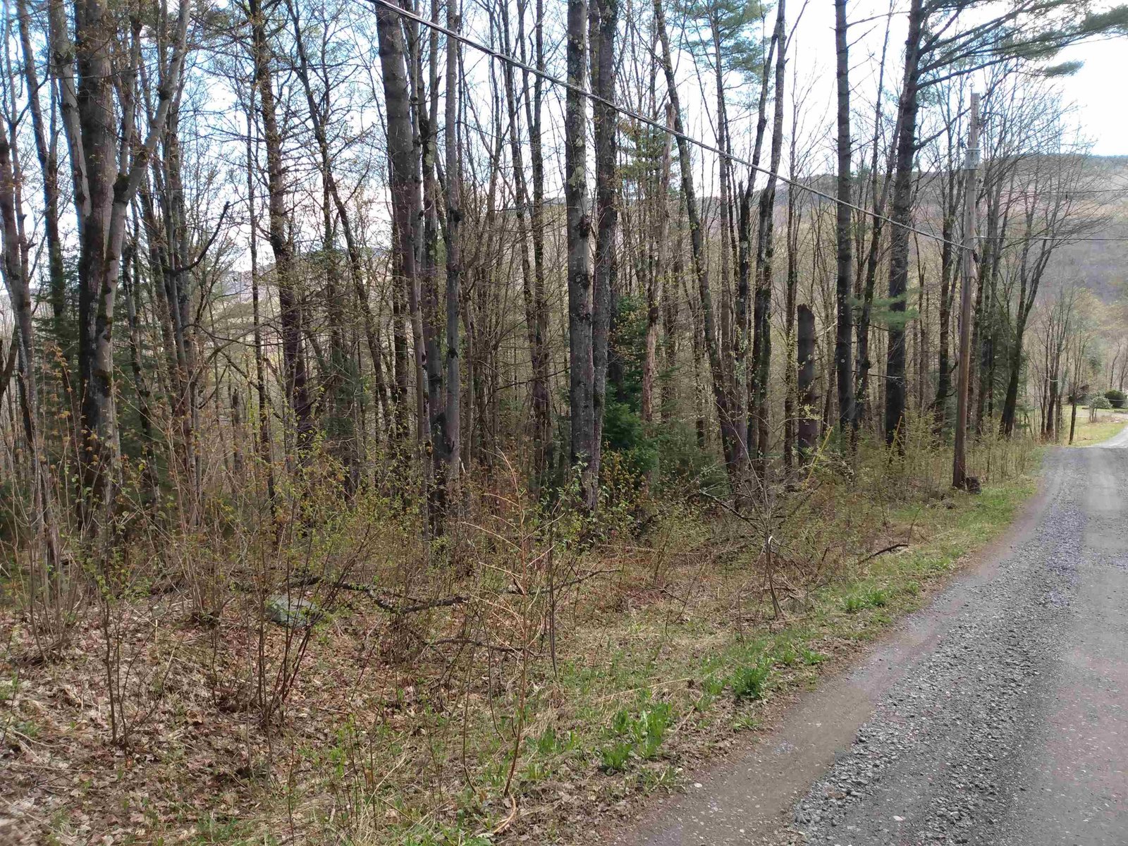 258 Hillside Road
