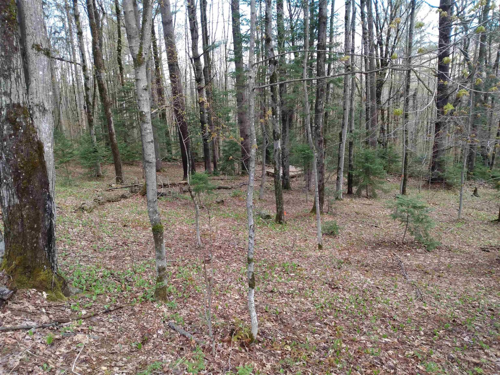 258 Hillside Road