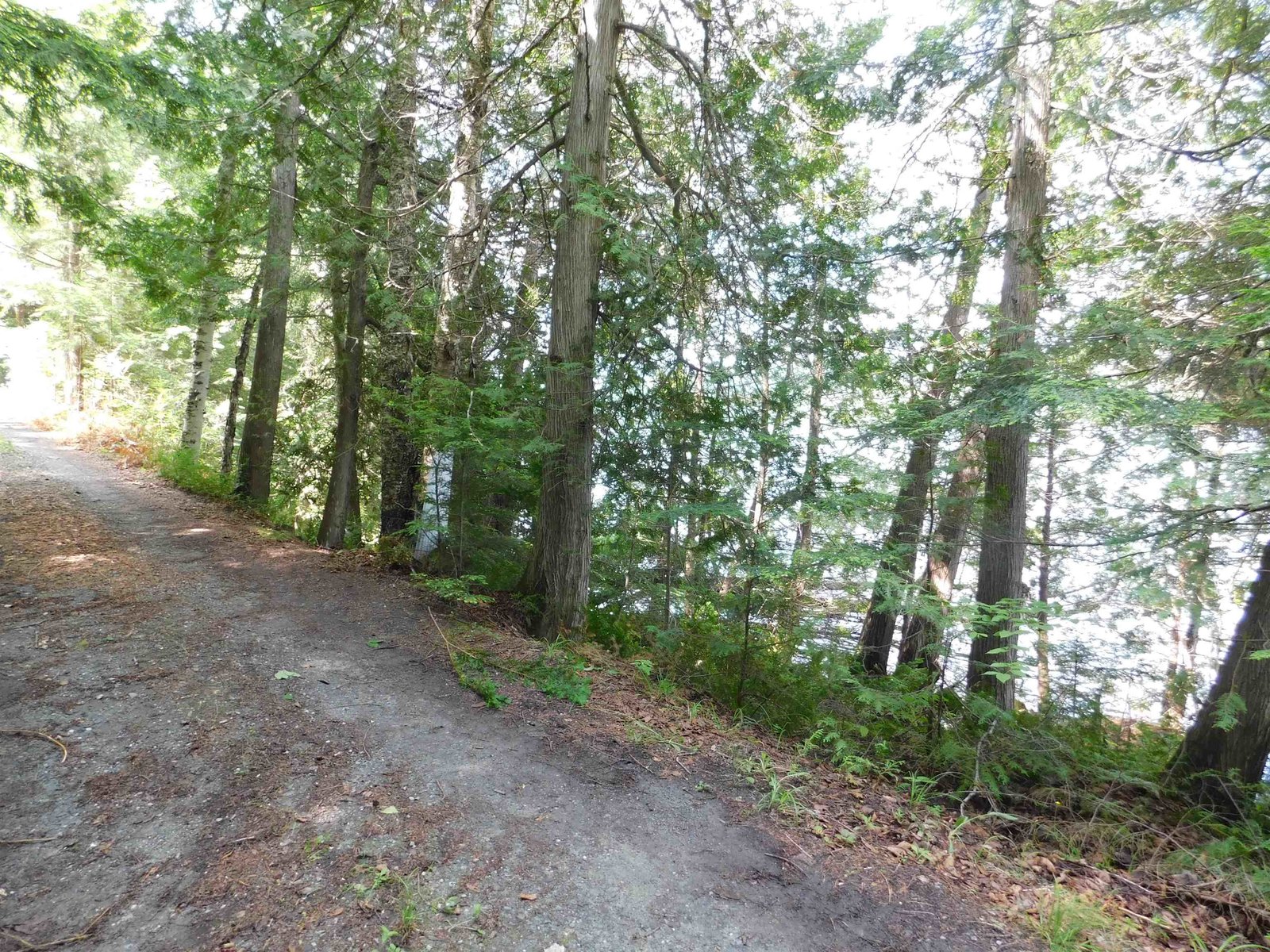258 Loon Lake Road