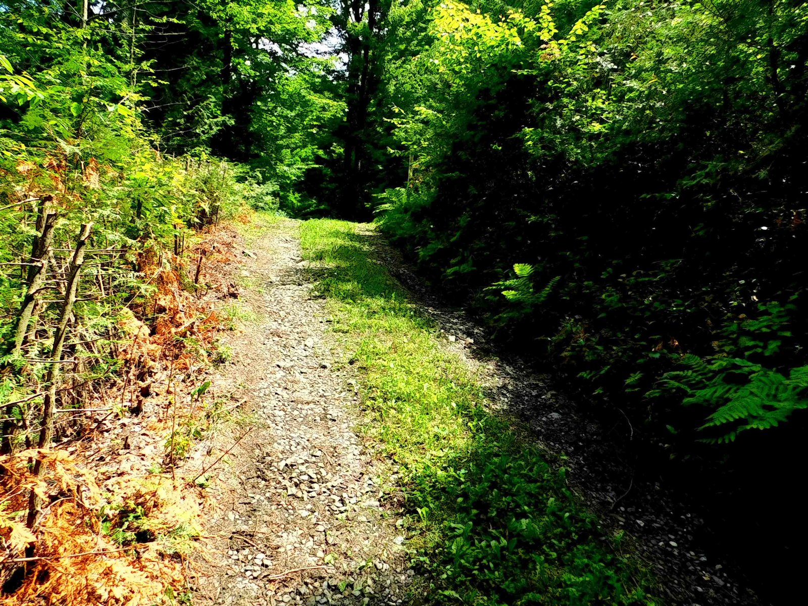 258 Loon Lake Road