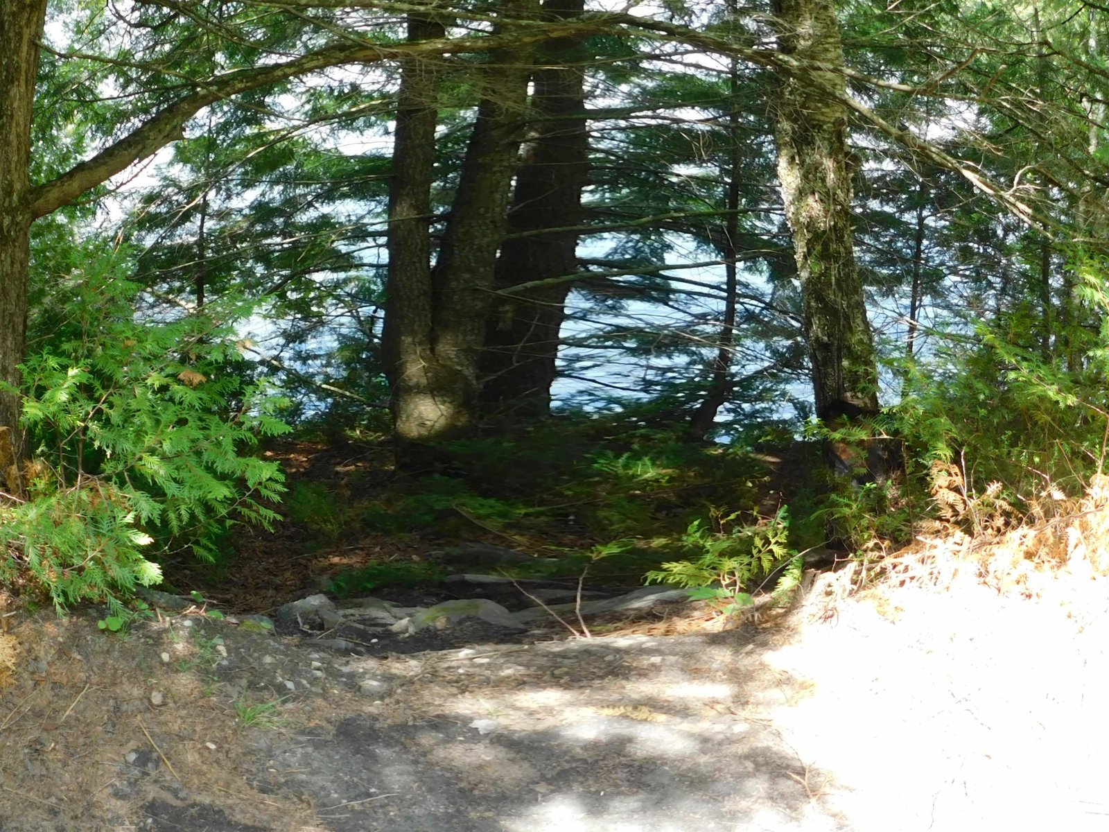 258 Loon Lake Road