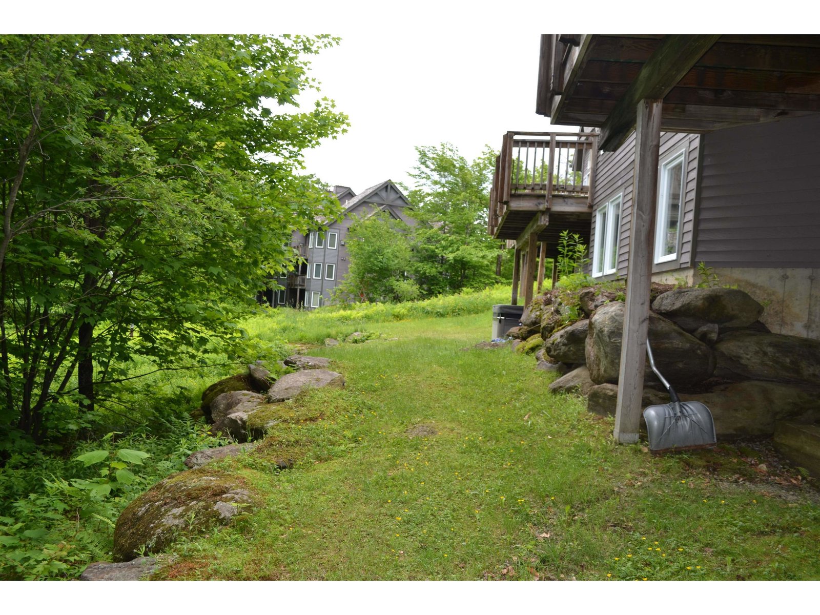 to ski trail, trail is where tall grass
