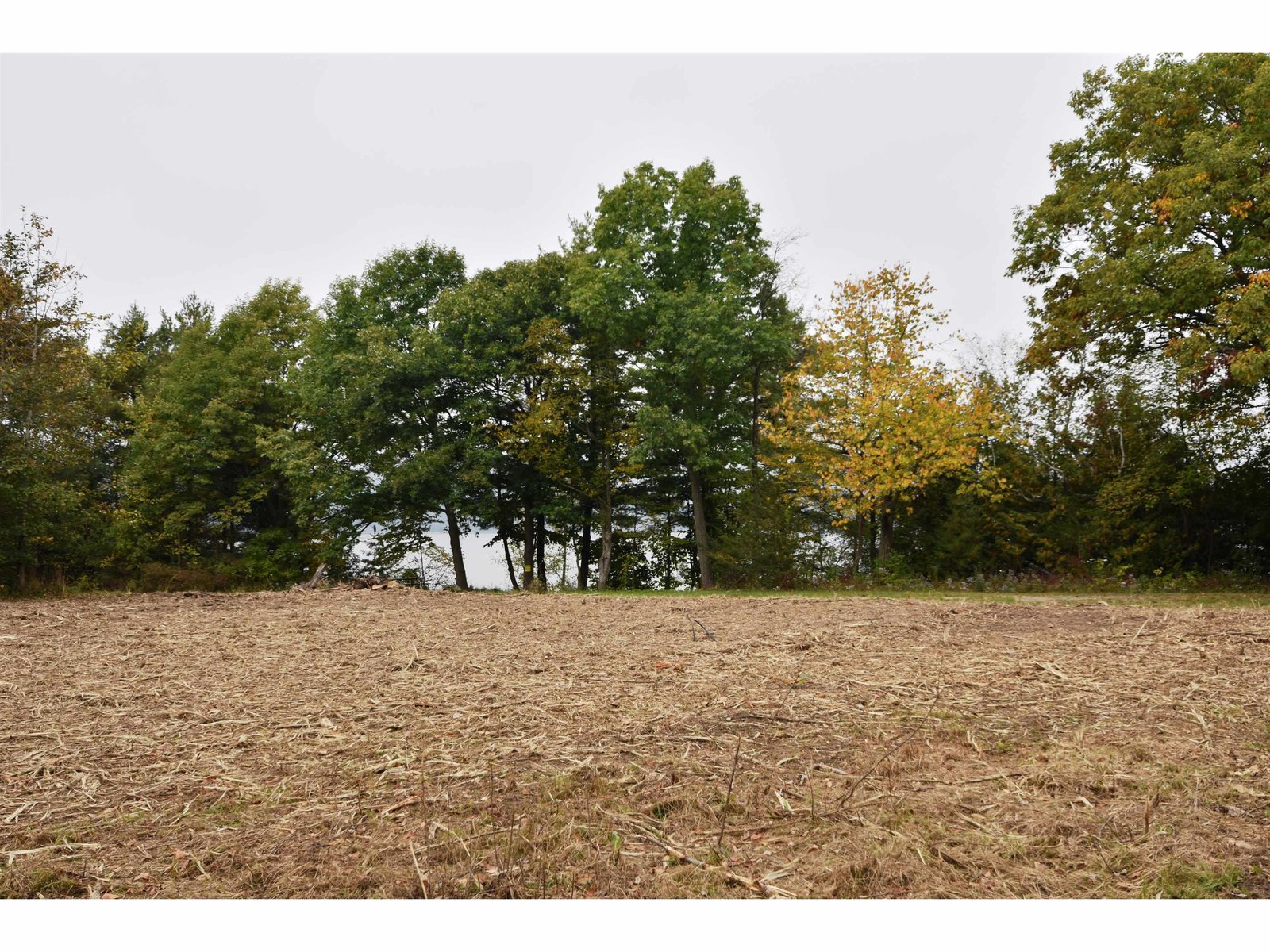 260 Burgey Farm Road