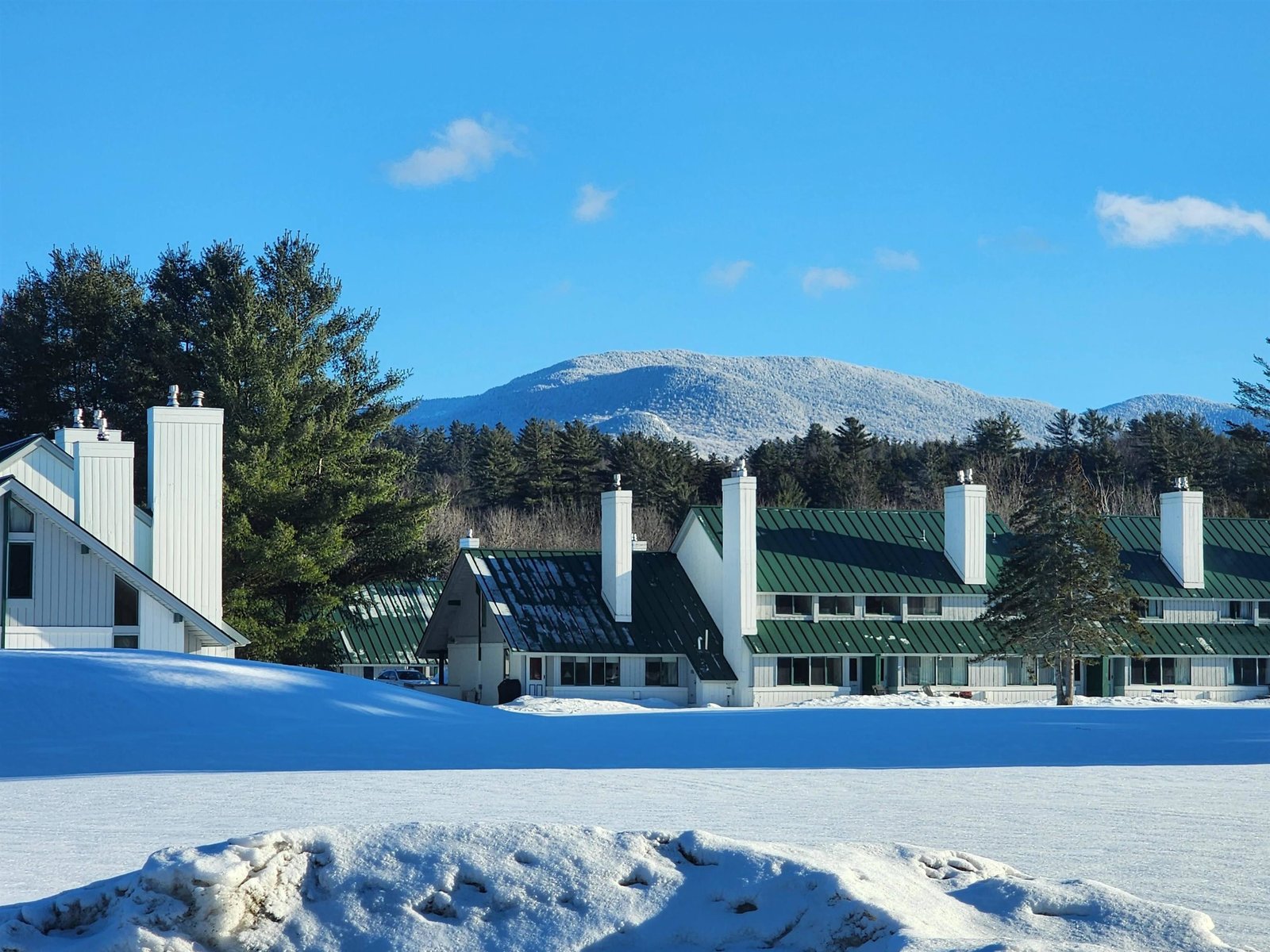261 Village Green Drive, Unit 10E