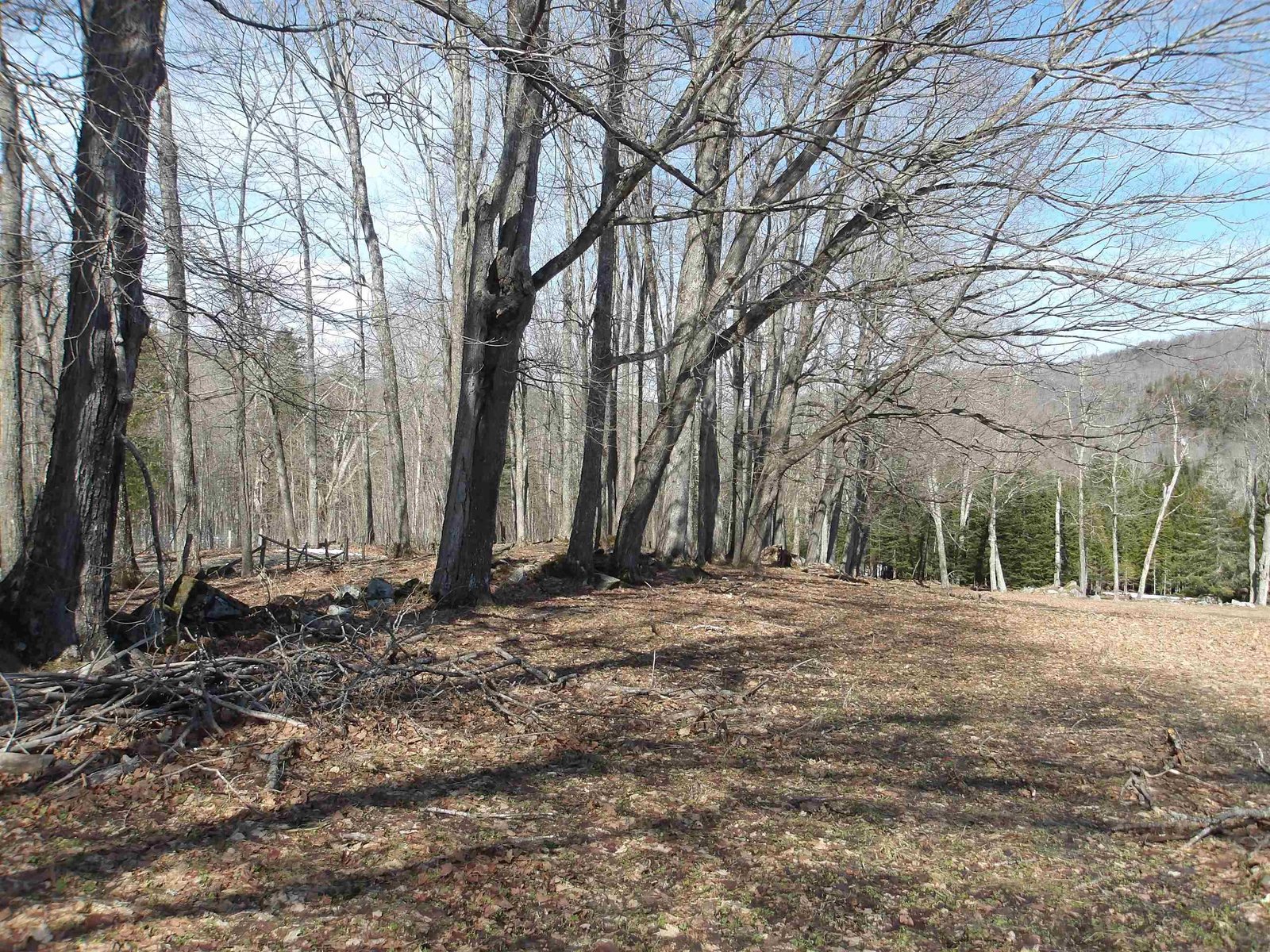 2616 Shadow Lake Road