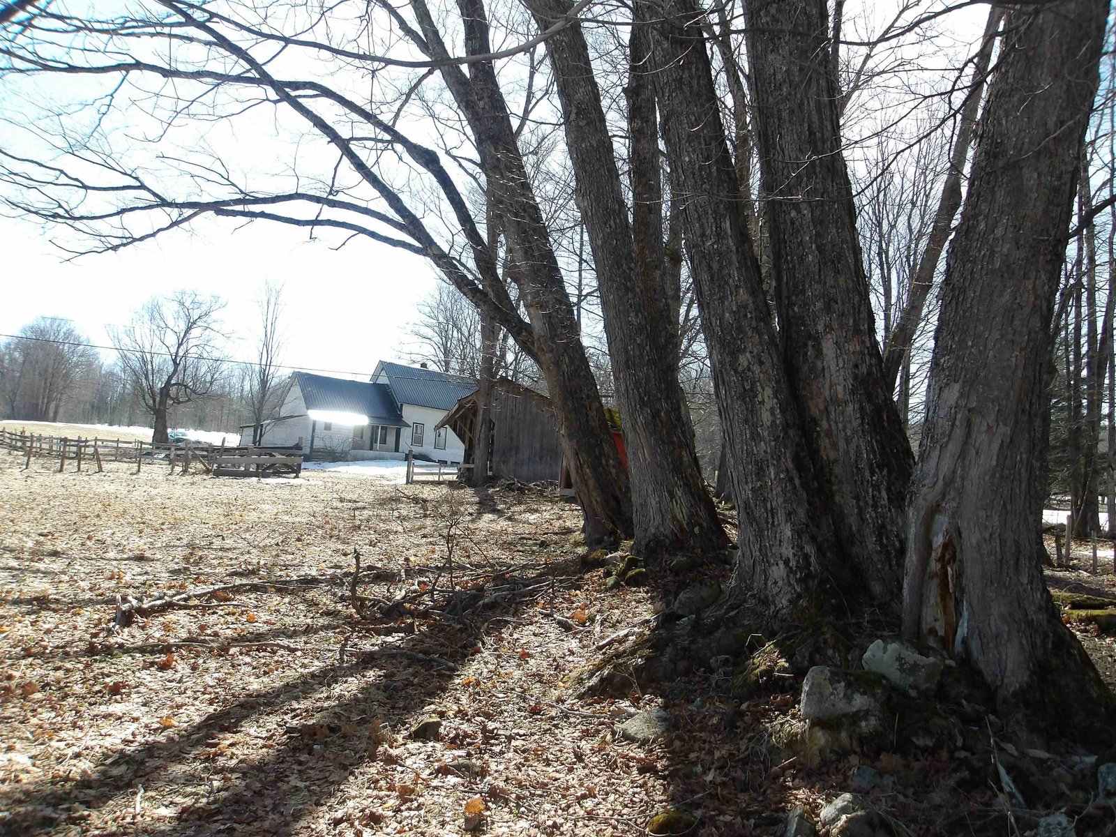 2616 Shadow Lake Road