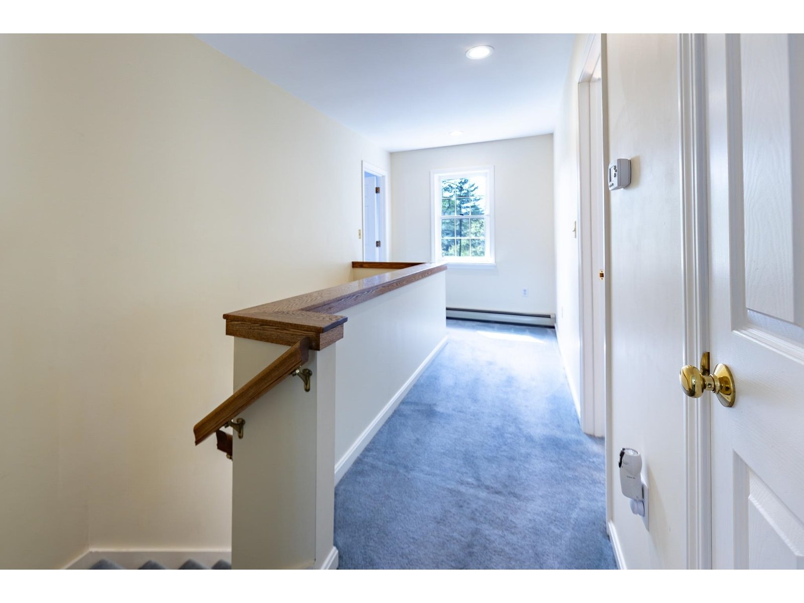 262 Hawk Pine Road