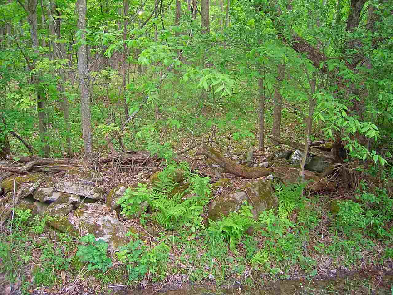 262 West Sleepy Hollow Road