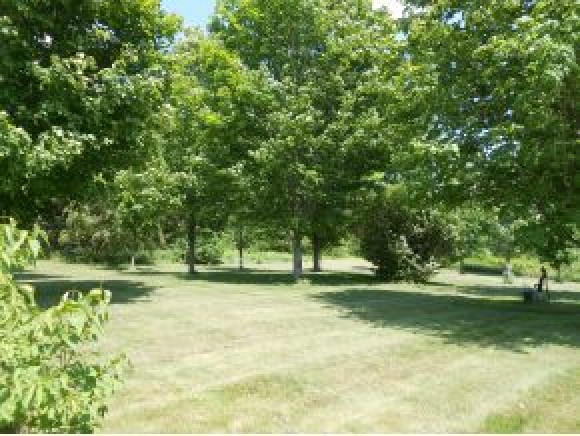 2621 Hogback