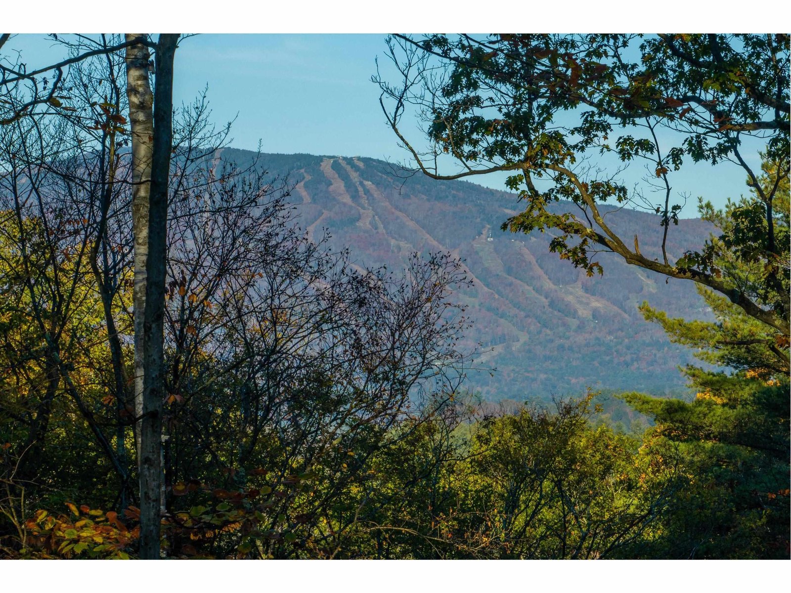 263 High Ridge Road