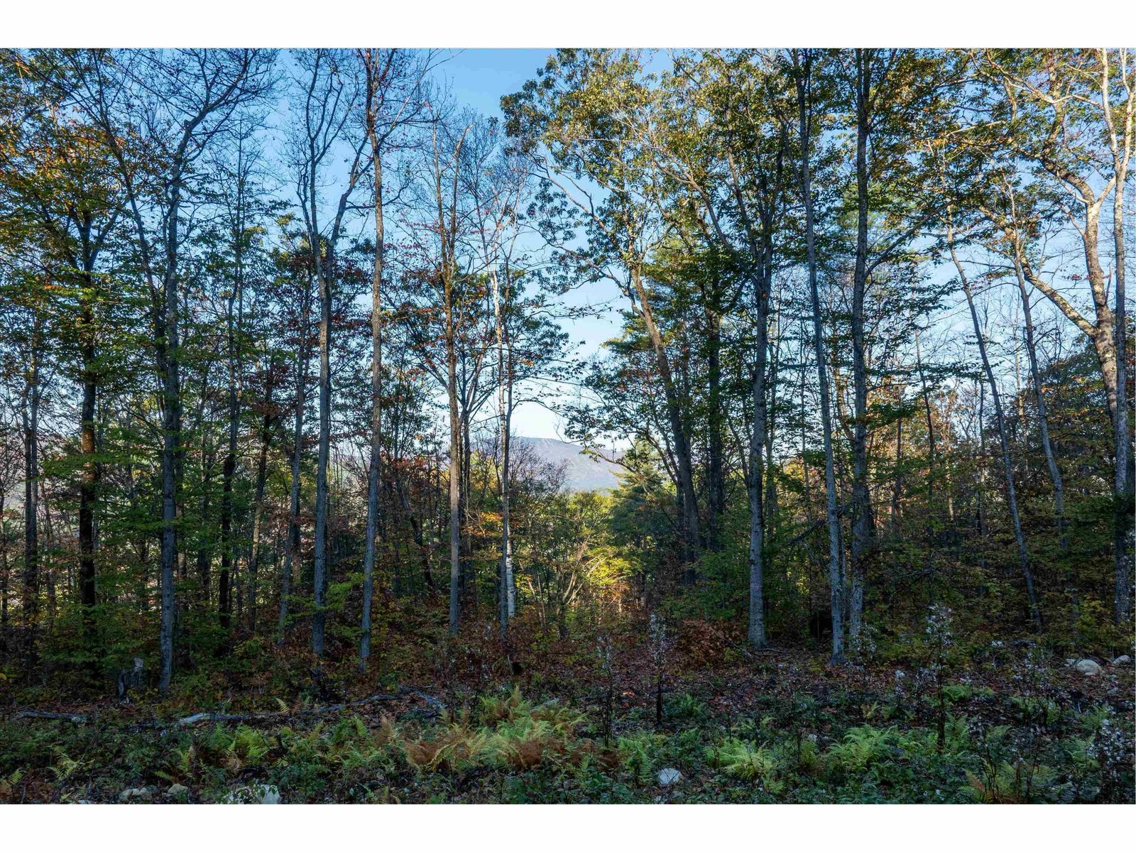 263 High Ridge Road