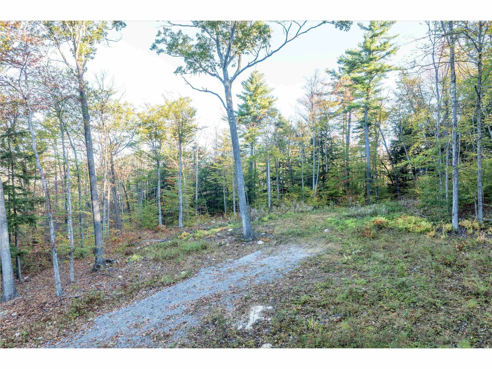 263 High Ridge Road